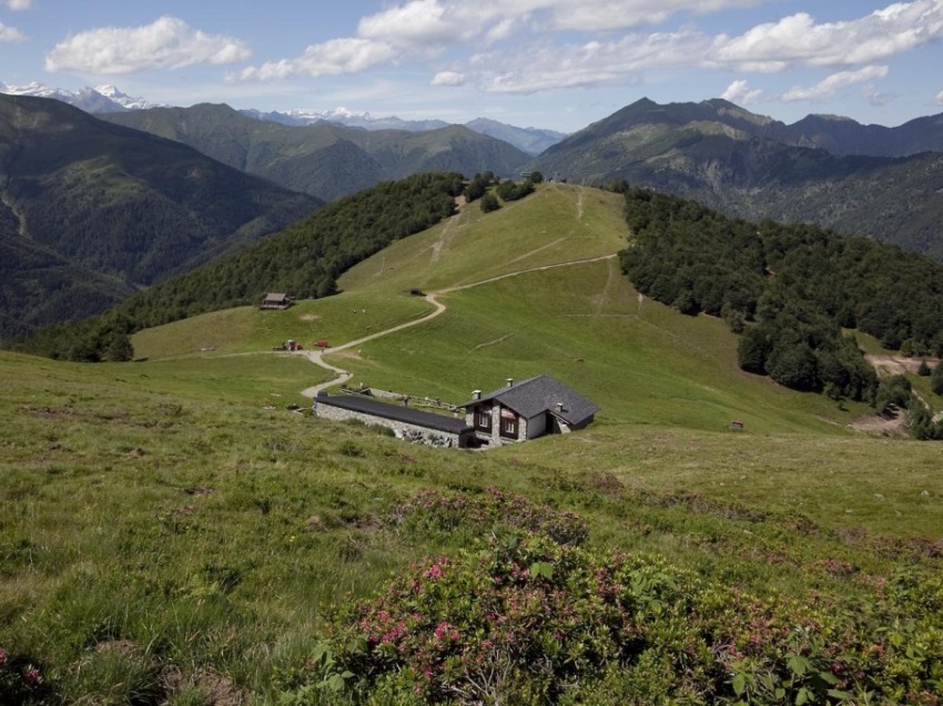 Km0 e vita d'alpeggio all'Alpe Moncerchio