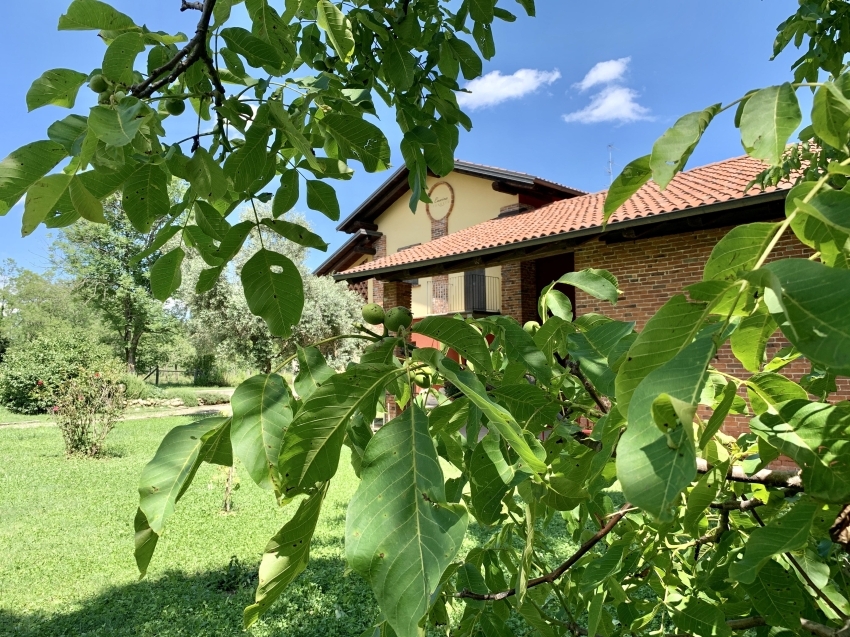 Cascina Foresto 03